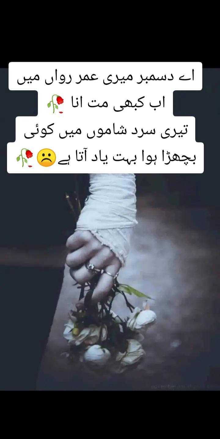 @shehzadi g😎