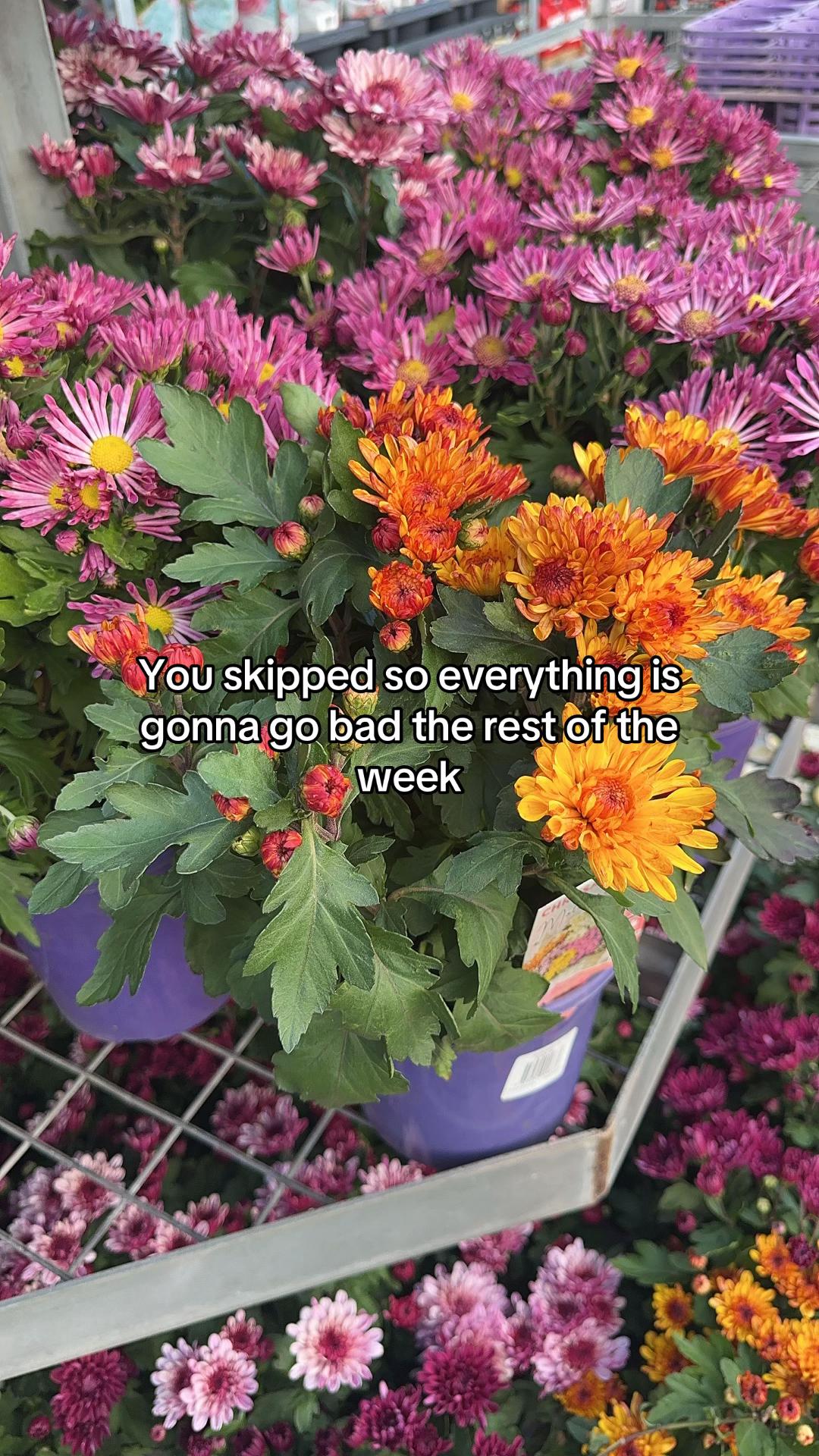 @Zaco Bro