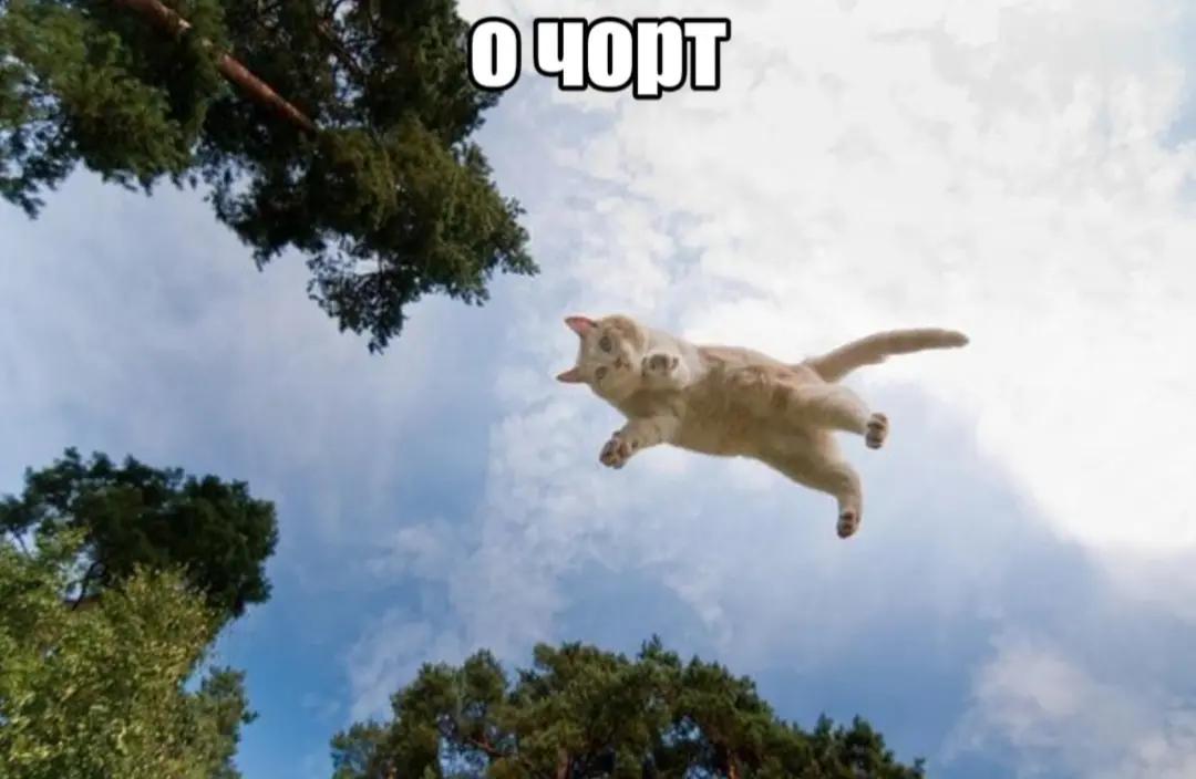 @friend