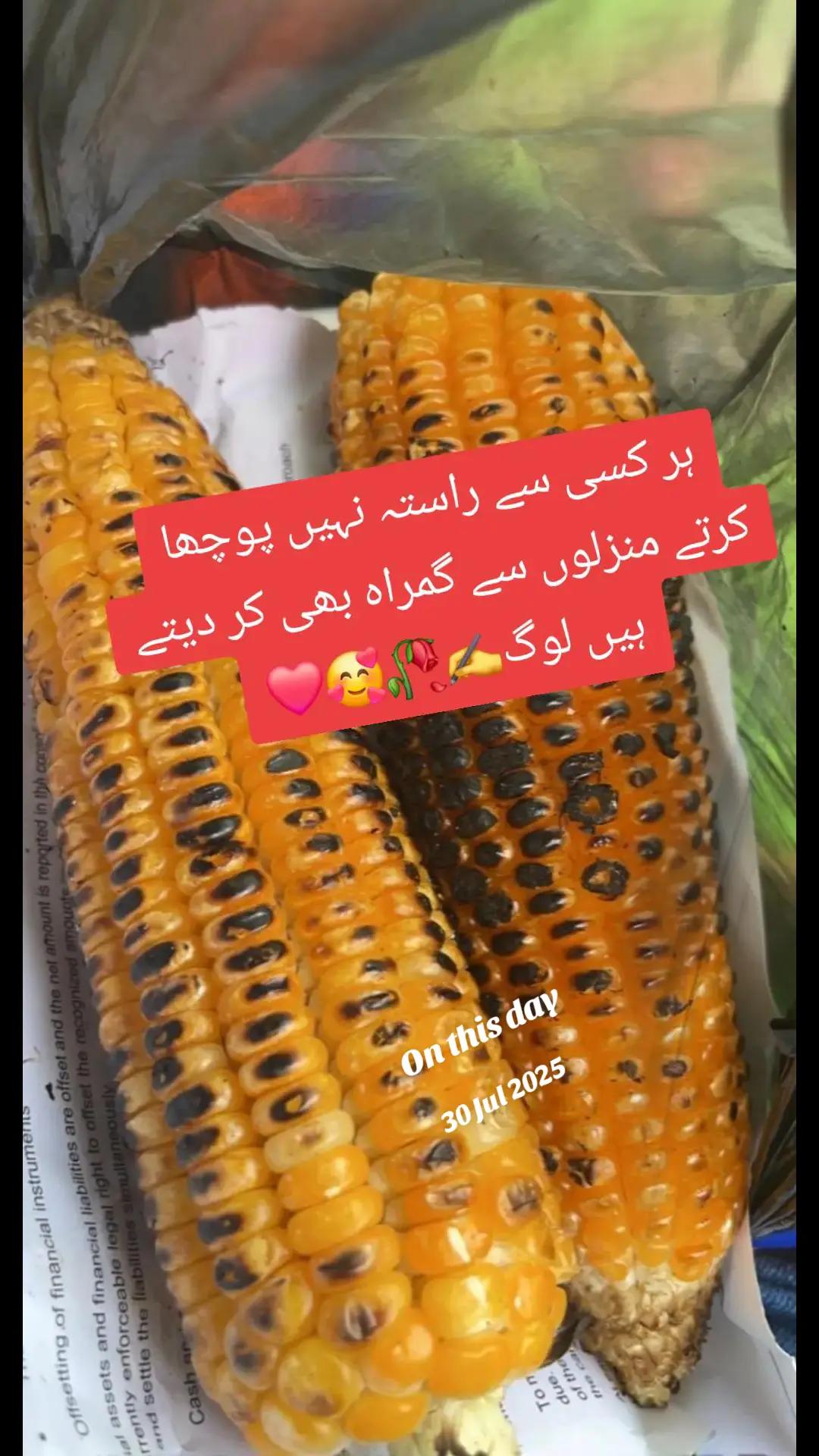 @Misses ALi Chaudry1