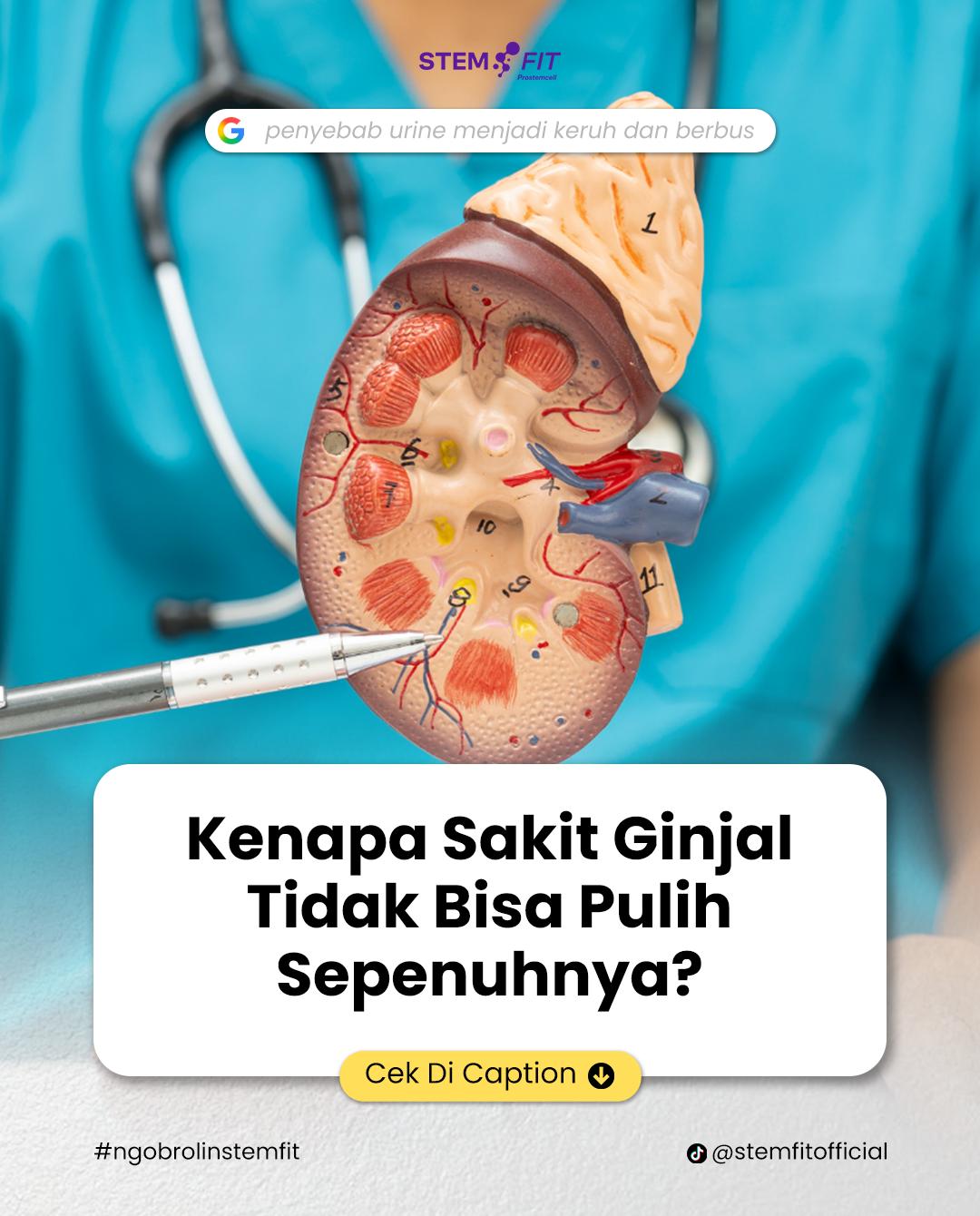 @Stemfit Official