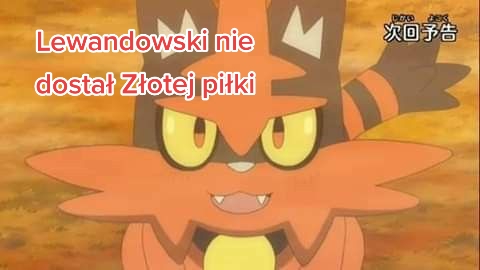 @lisi_spryt_wojaki
