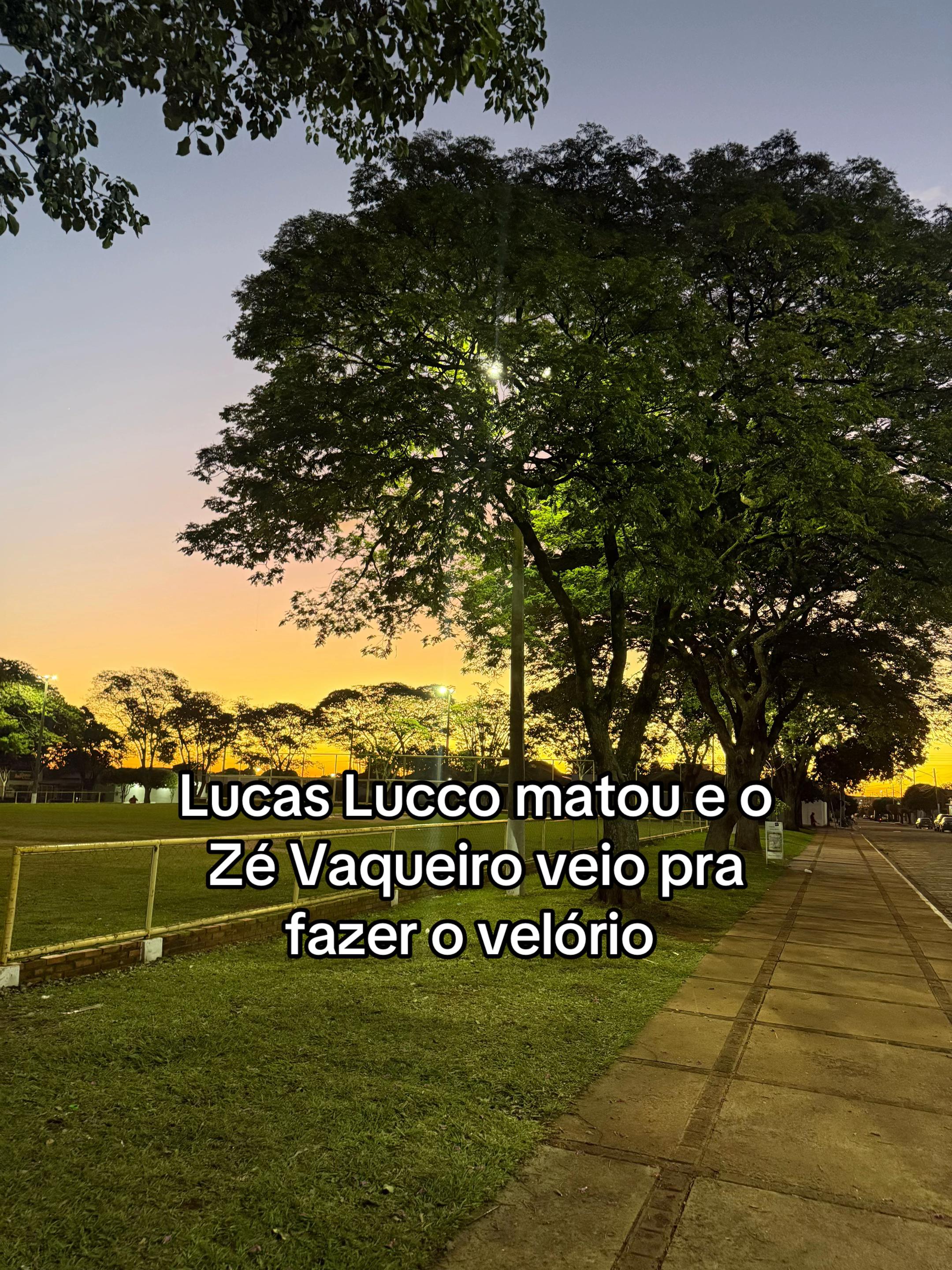 @Bela