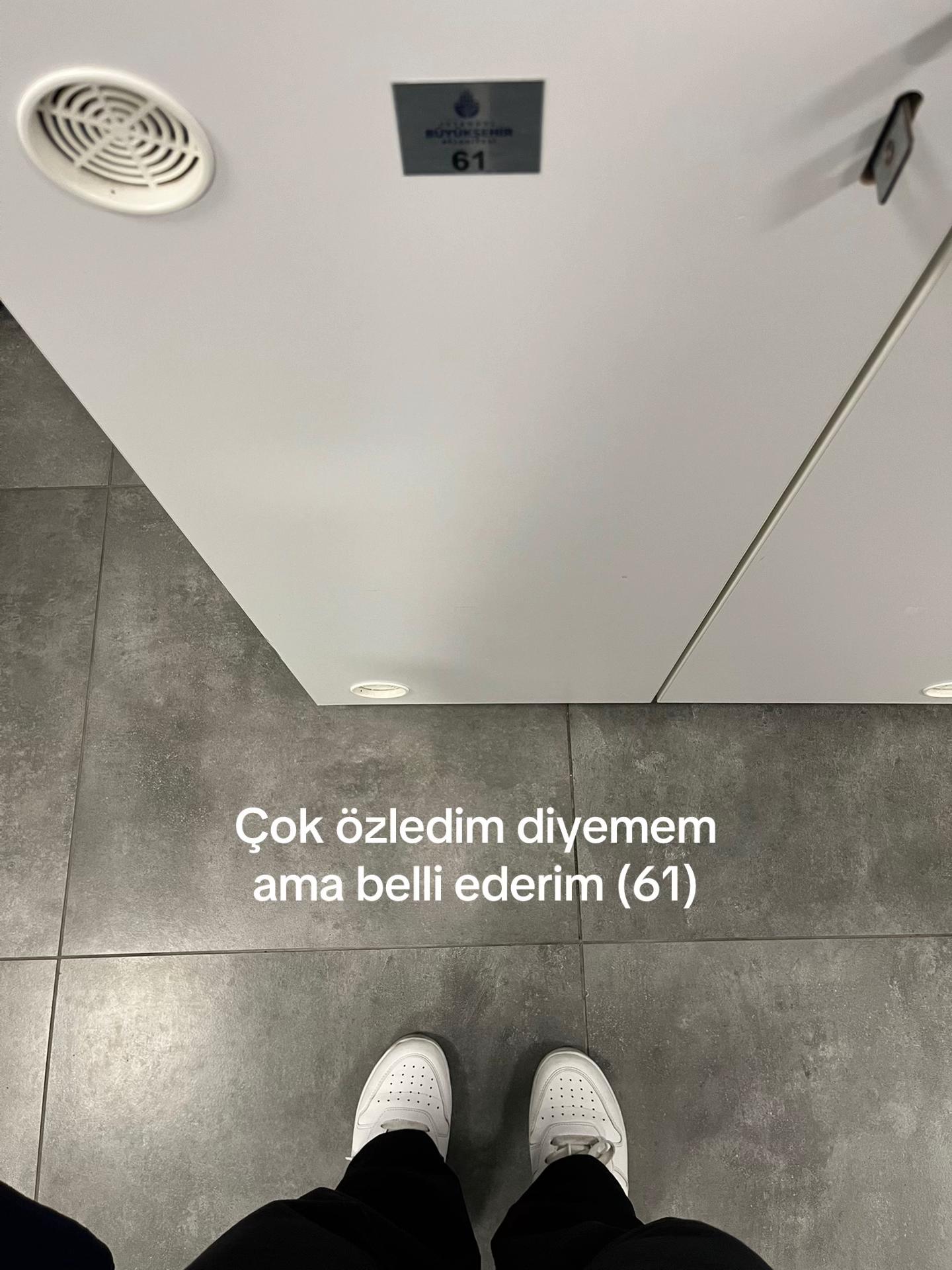 @Aleyy 🦢