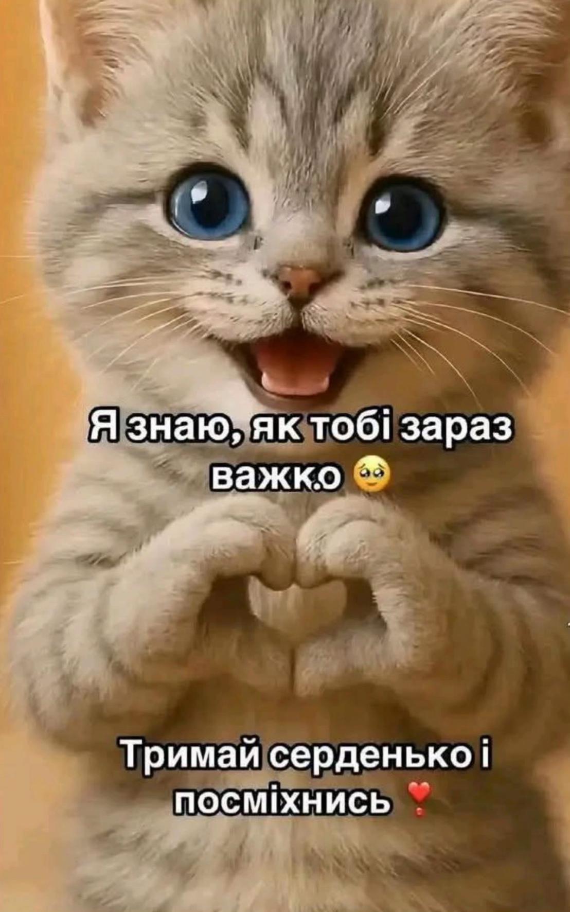 @tiktok_tiktok.com.ua
