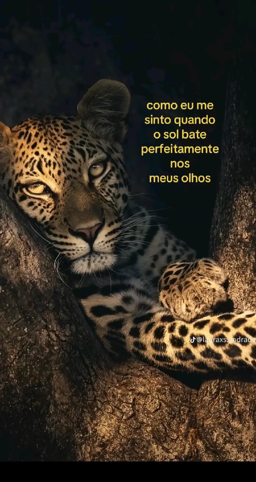 @𝓚𝓮𝓽𝓵𝓮𝔂 🌞๋ ࣭ ⭑