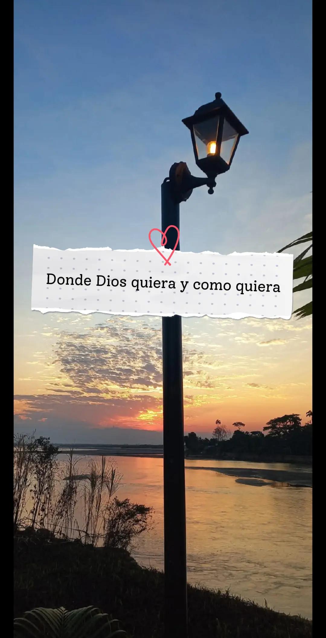 @Andreina Liendo 🌺