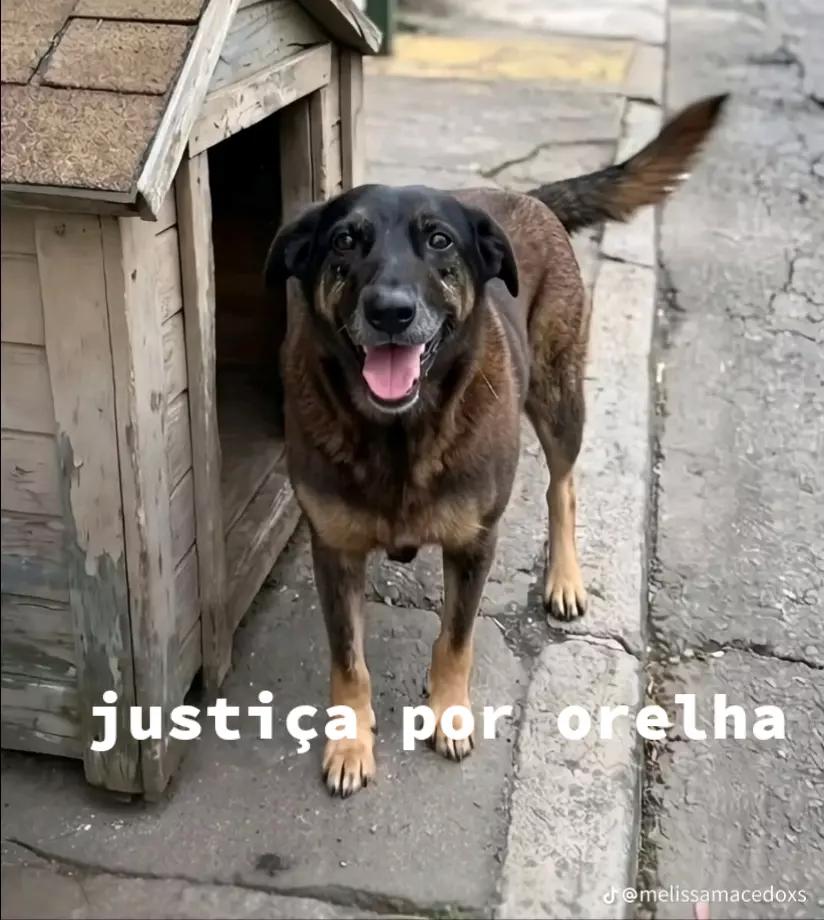 @☆Laura_f&atilde;_da_kat_☆