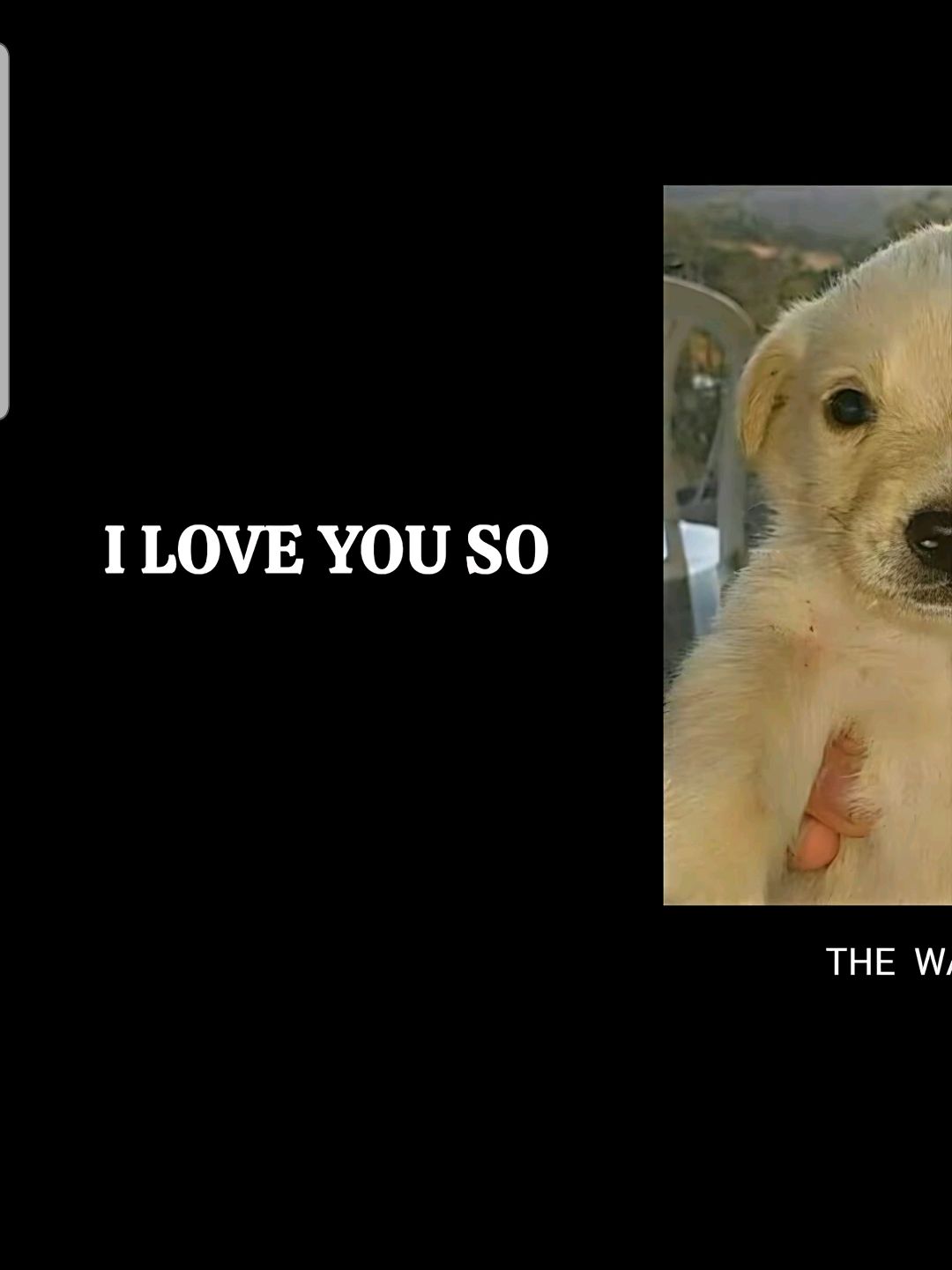 @️
