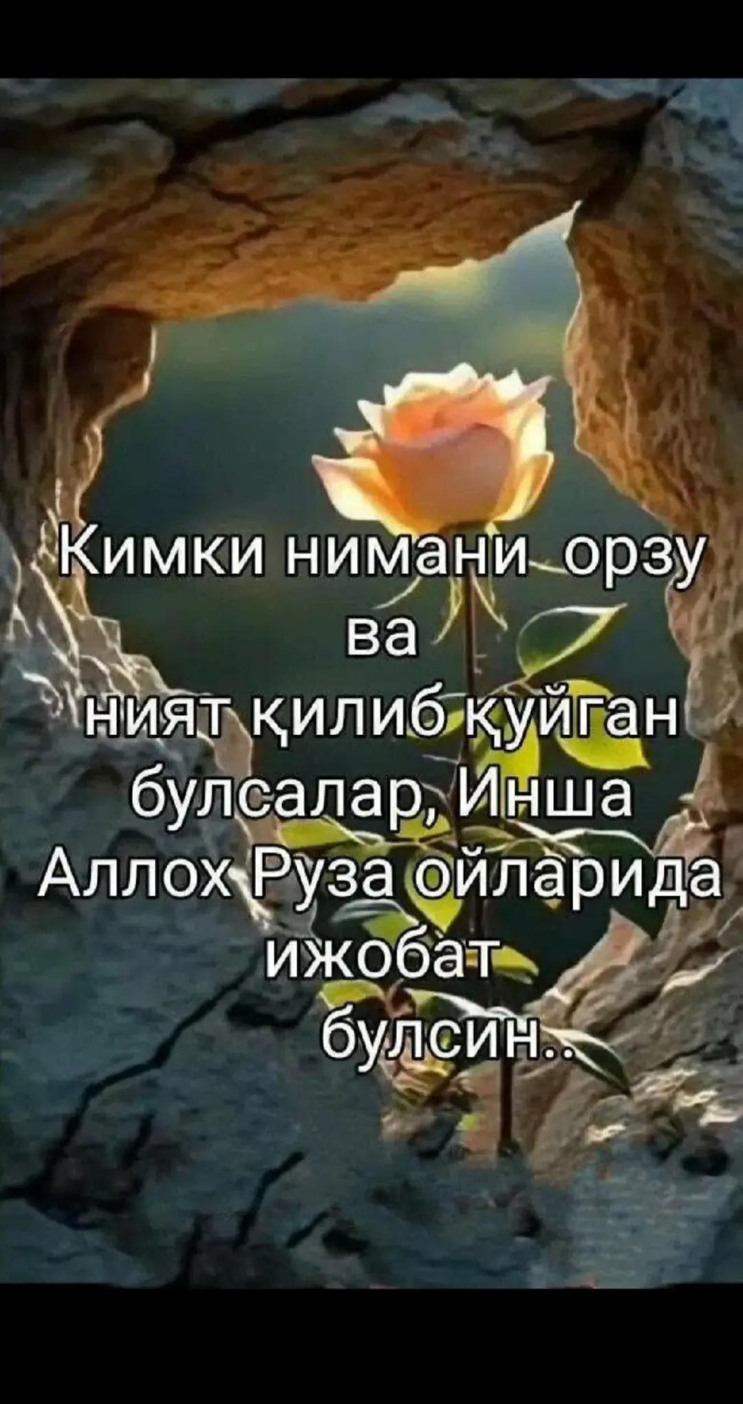 @ЗЕБО 24