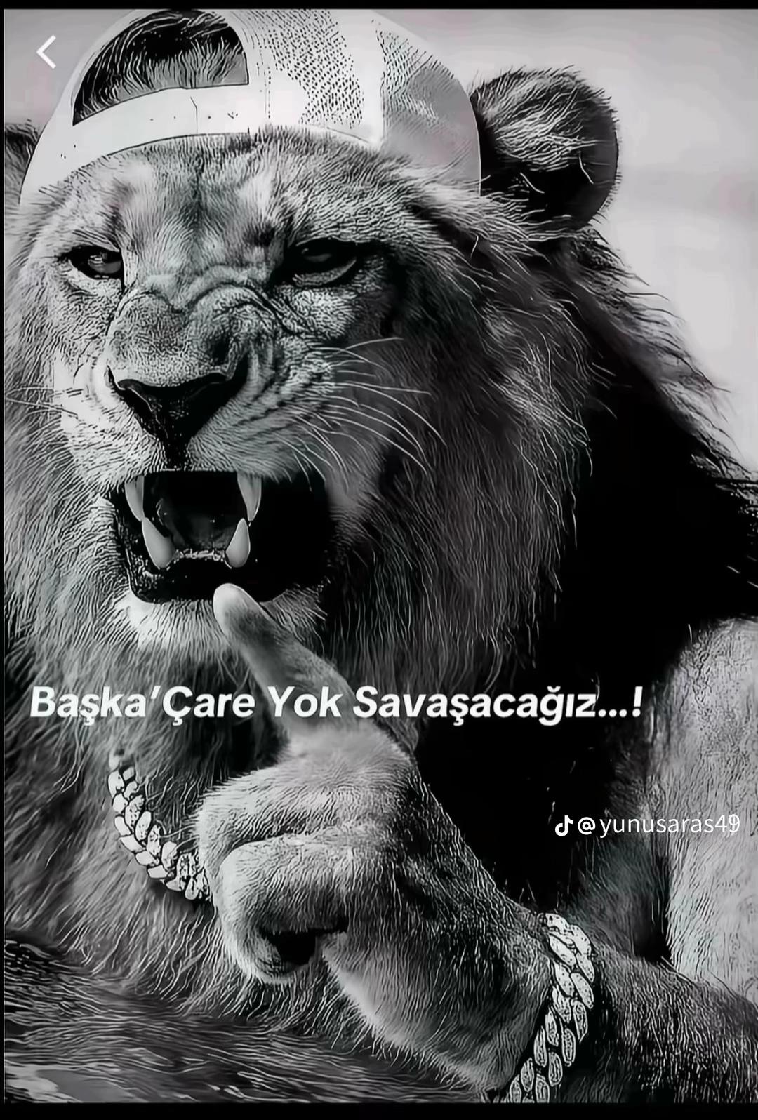 @Hakan Sarıhan
