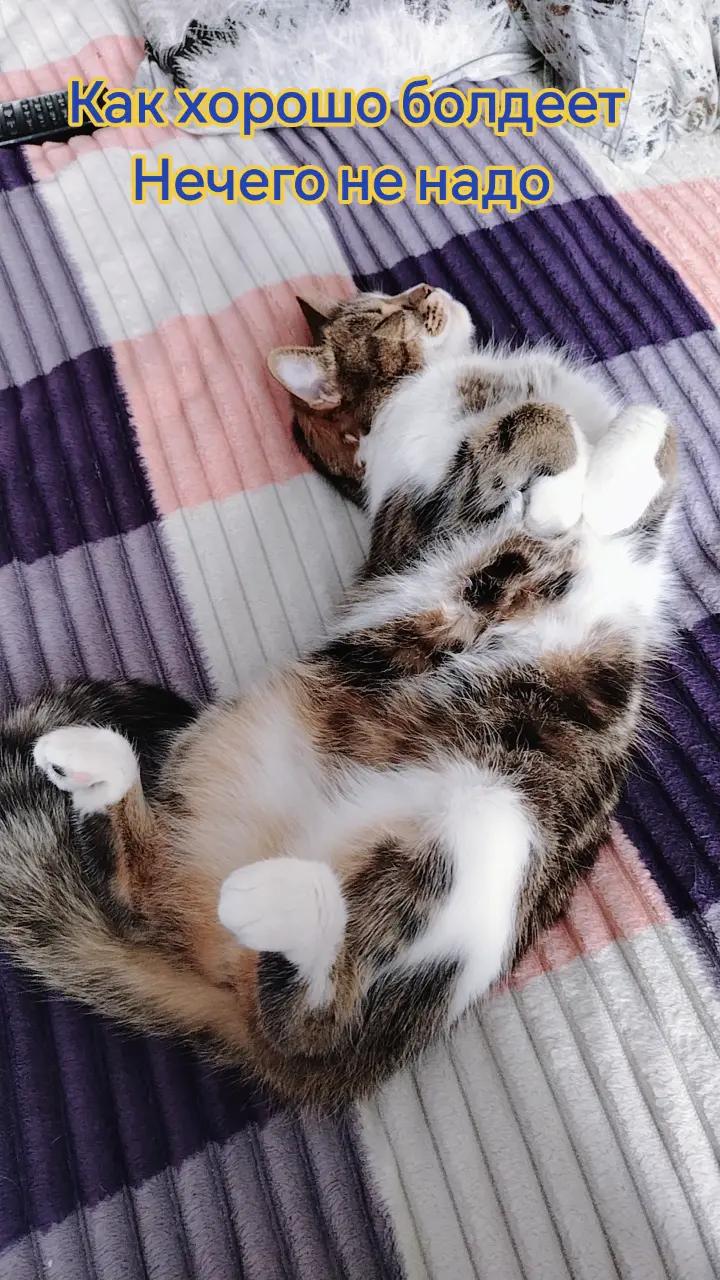 @&hearts;️МАЛЕНЬКАЯ &hearts;️