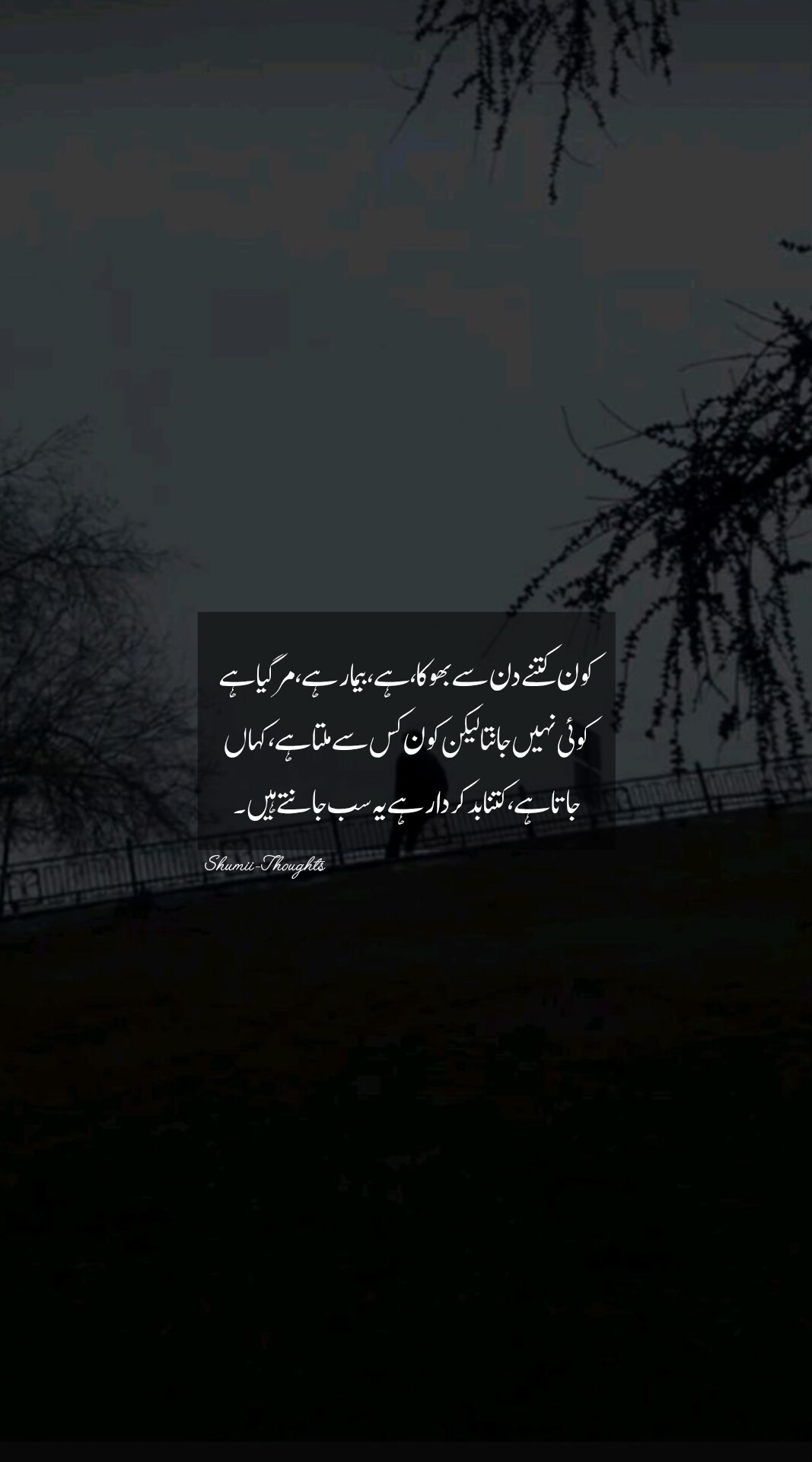 @shumaila malik