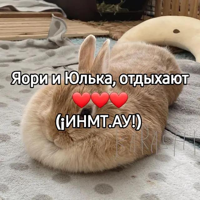 @чокопао 🍅