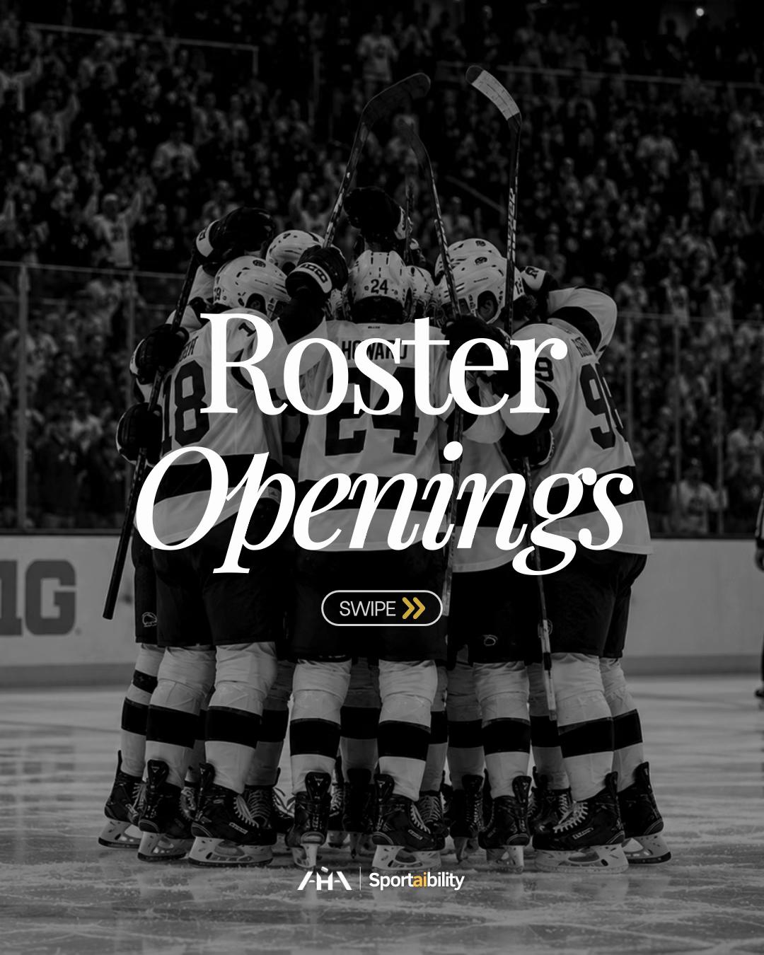 @Advancement Hockey Agency