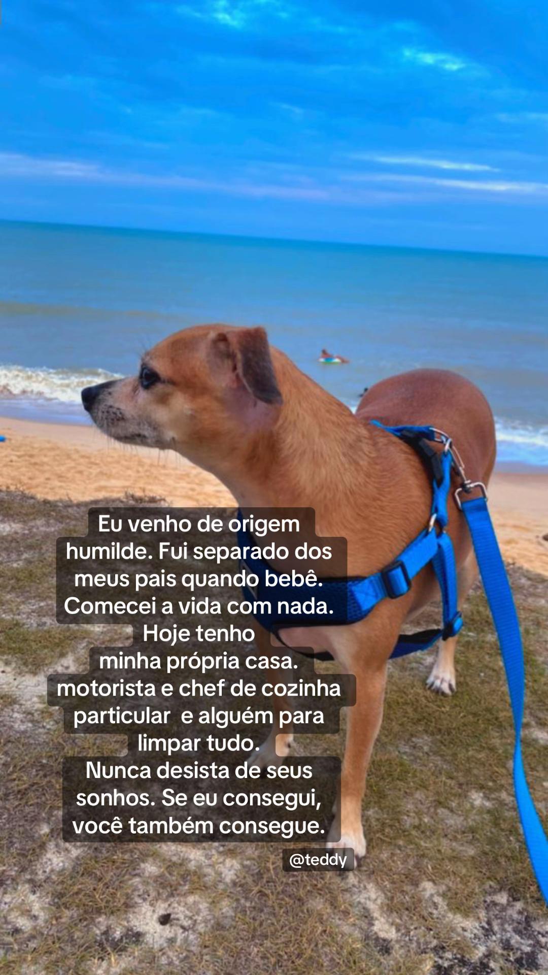@Monique Vieira 🥂