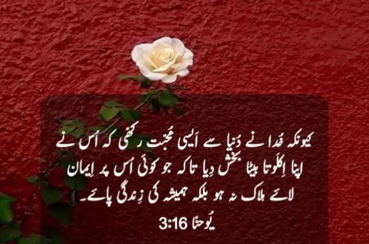 @Tehmina Sattar