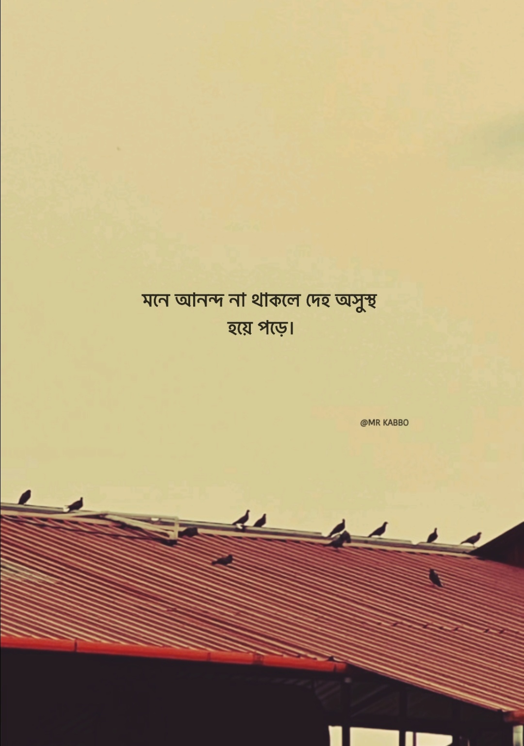 @Life.storyđ