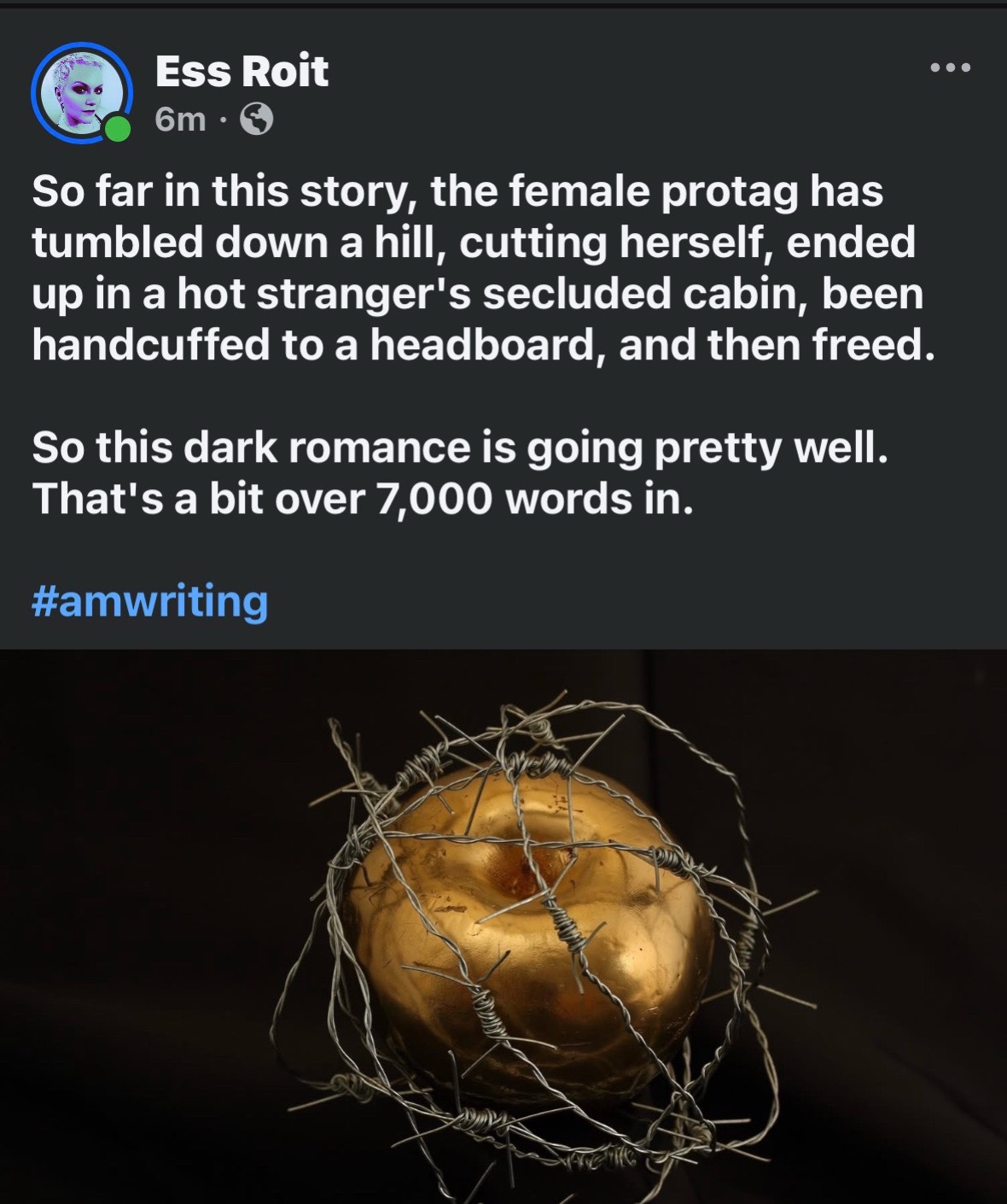 @S.Roit | Author