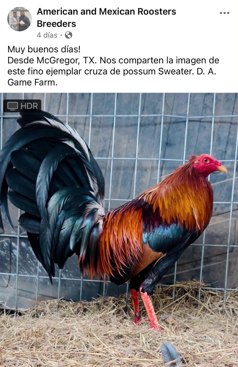 @DAgamefarm