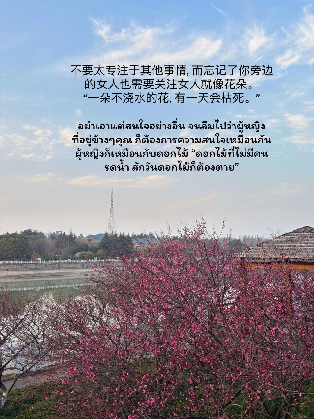 @จีนซับไทย 🇨🇳🇹🇭 ✨