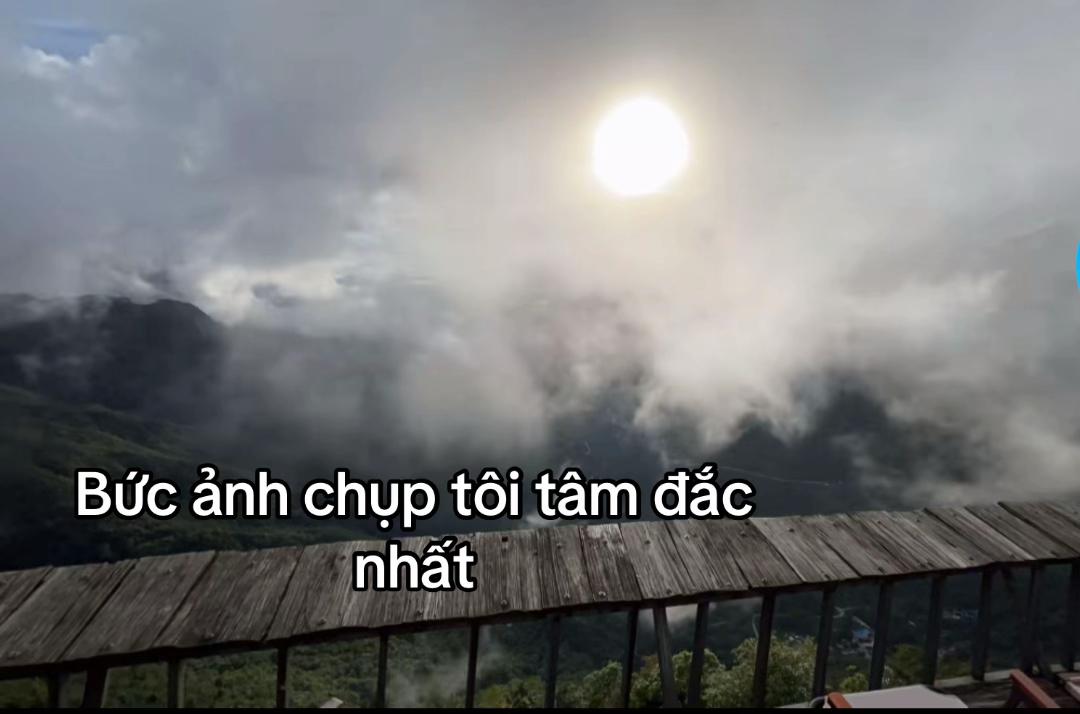 @🐊
