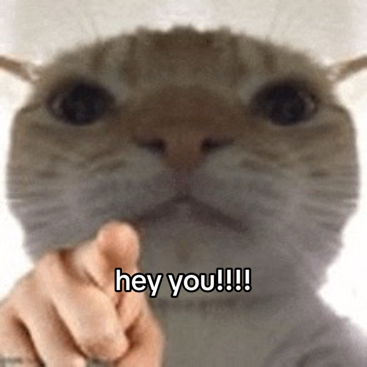 @marley brown