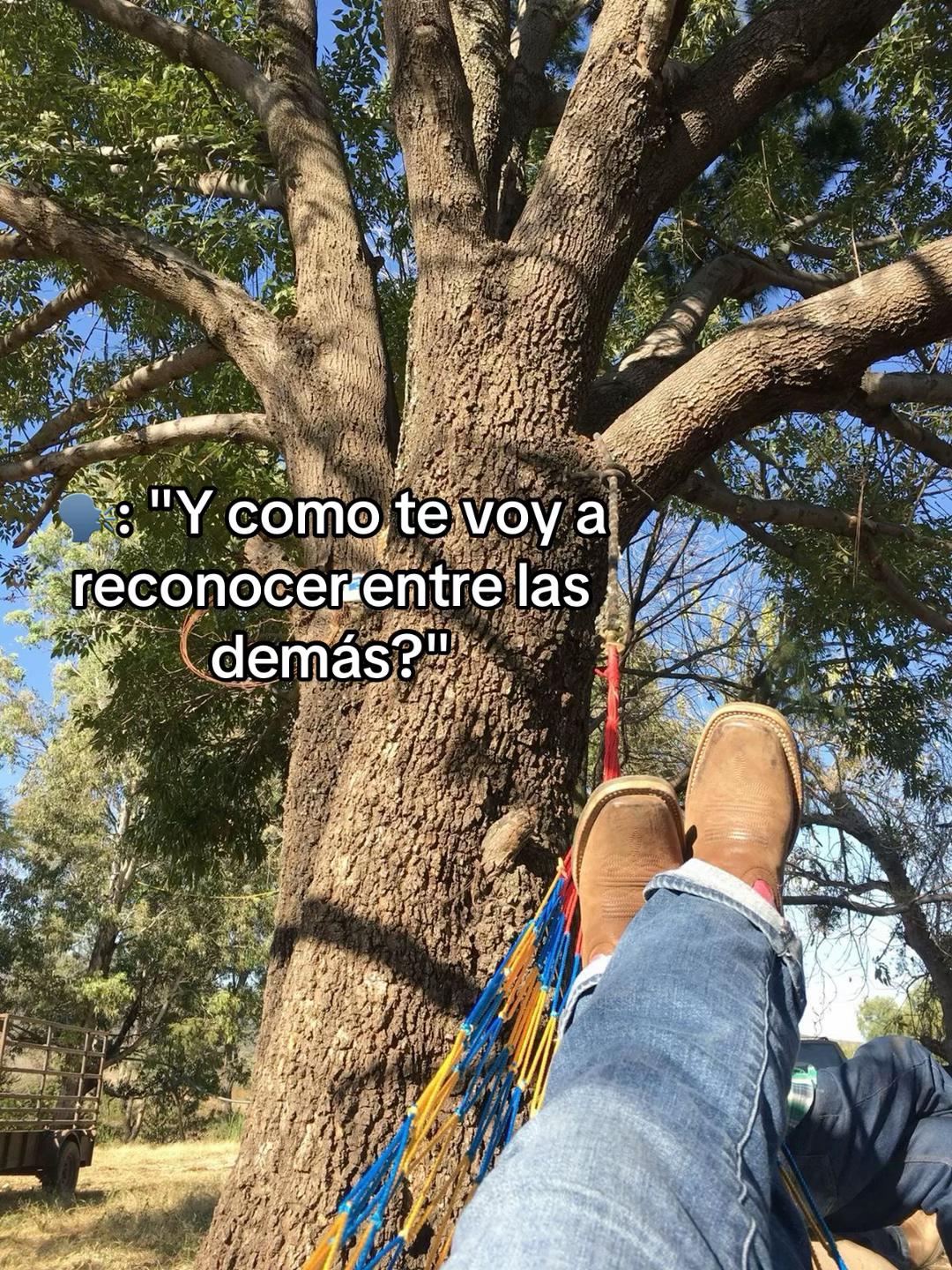@Aracely