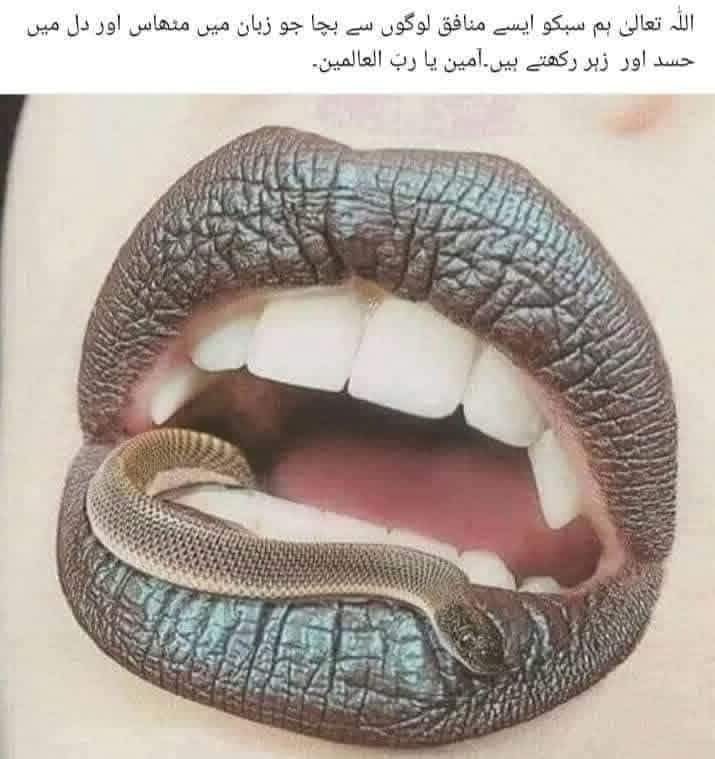@đ N O R N I S HA R đ