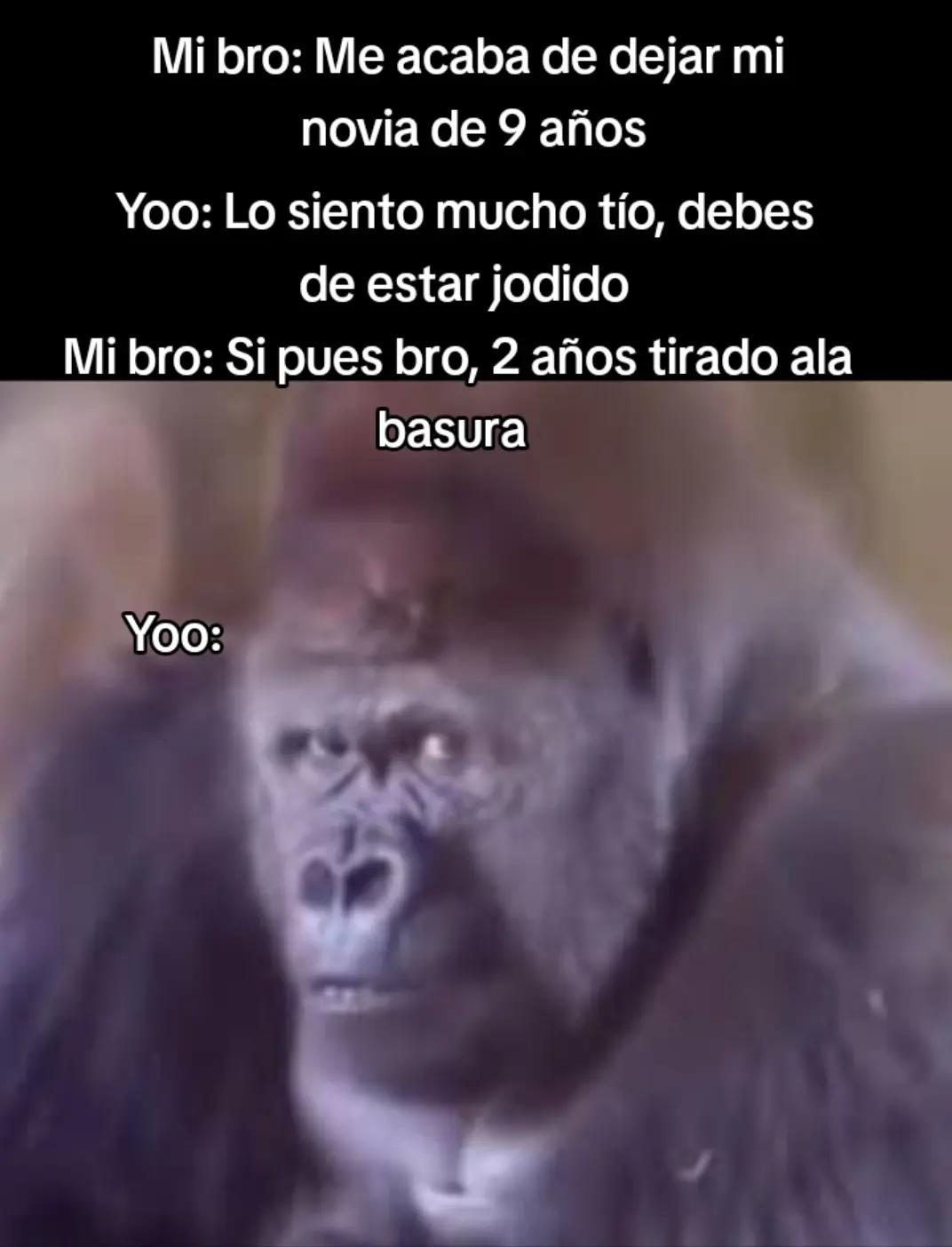@ɴᴇʟsᴏɴXᴅ⛎