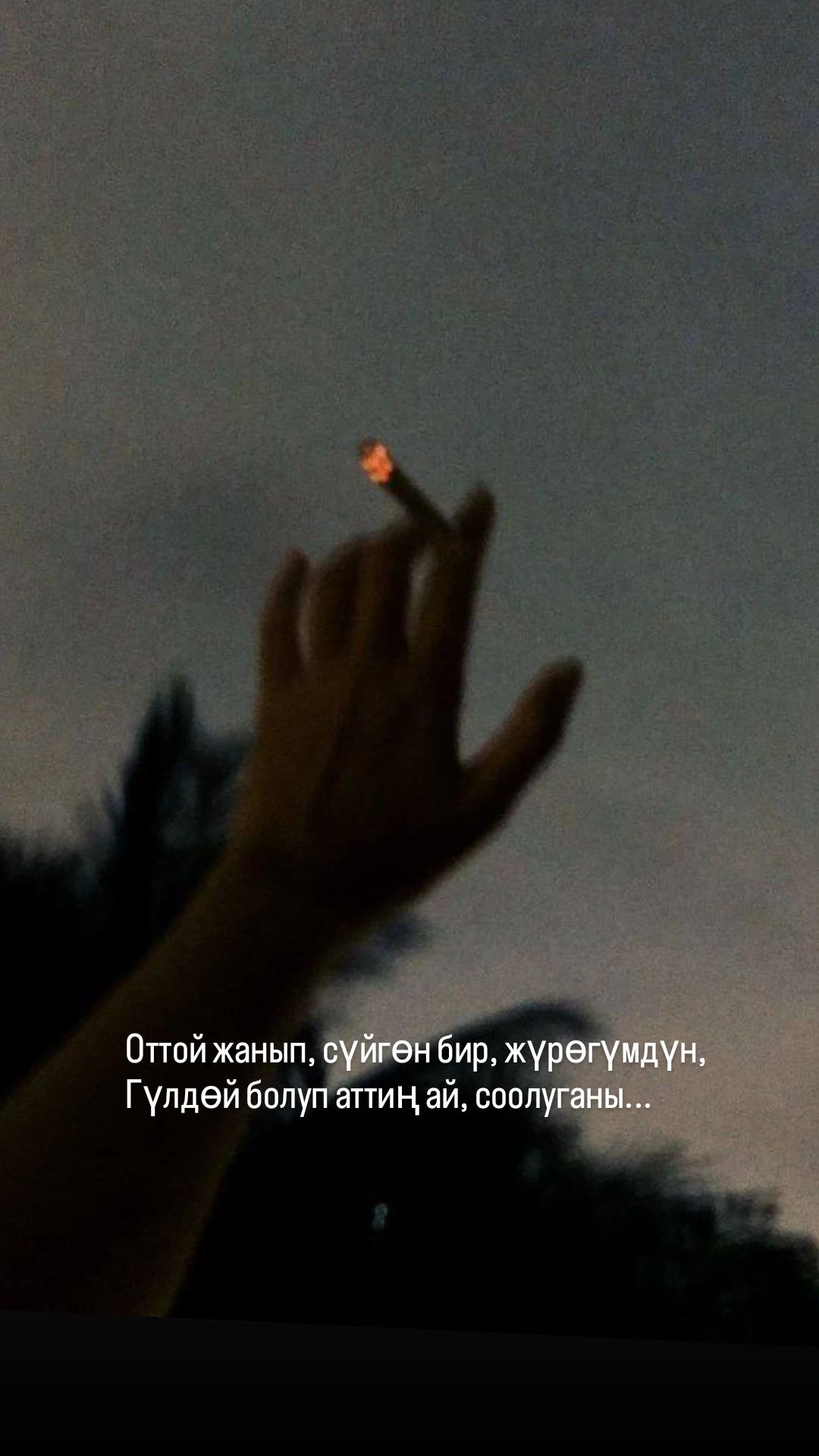 @Tilek