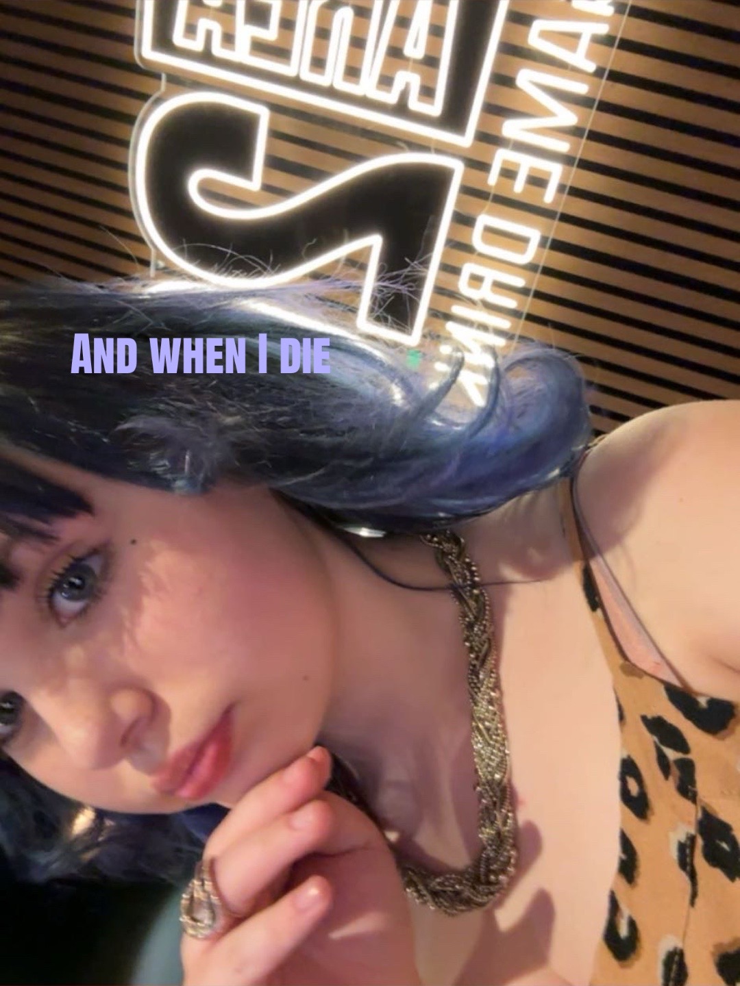 @Pusheen cat 🌬️