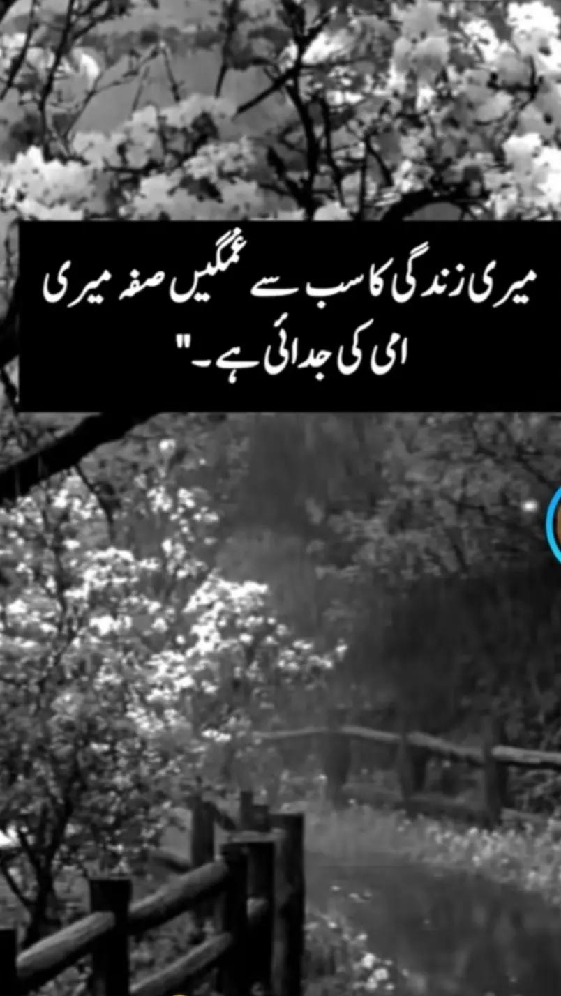 @Meri maa Meri jannat hai 😭😭