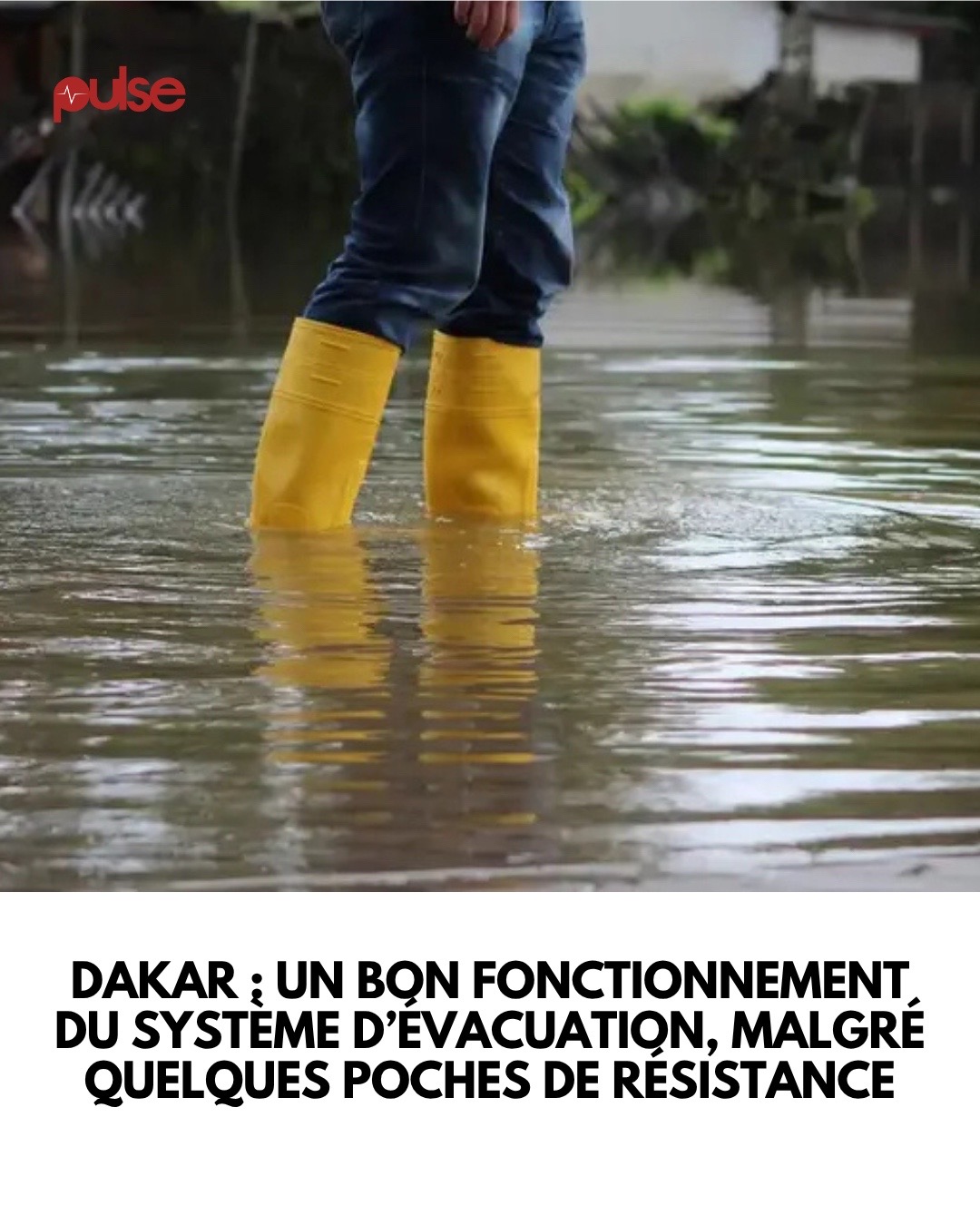 @Pulse Sénégal