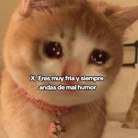 @Flaca