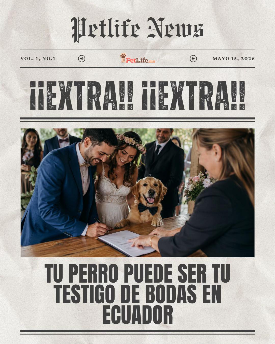 @Petlife