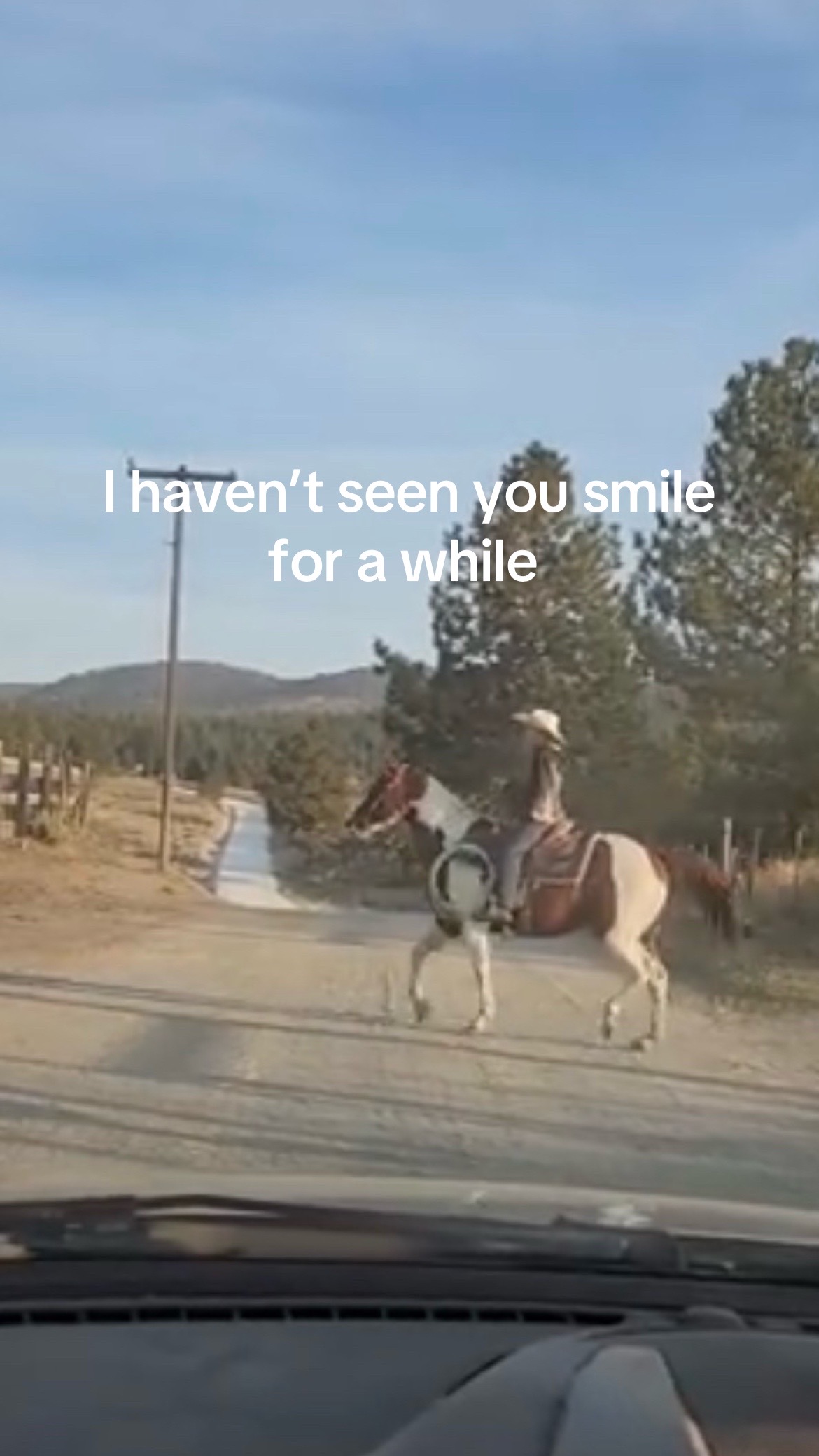 @lanenelson12