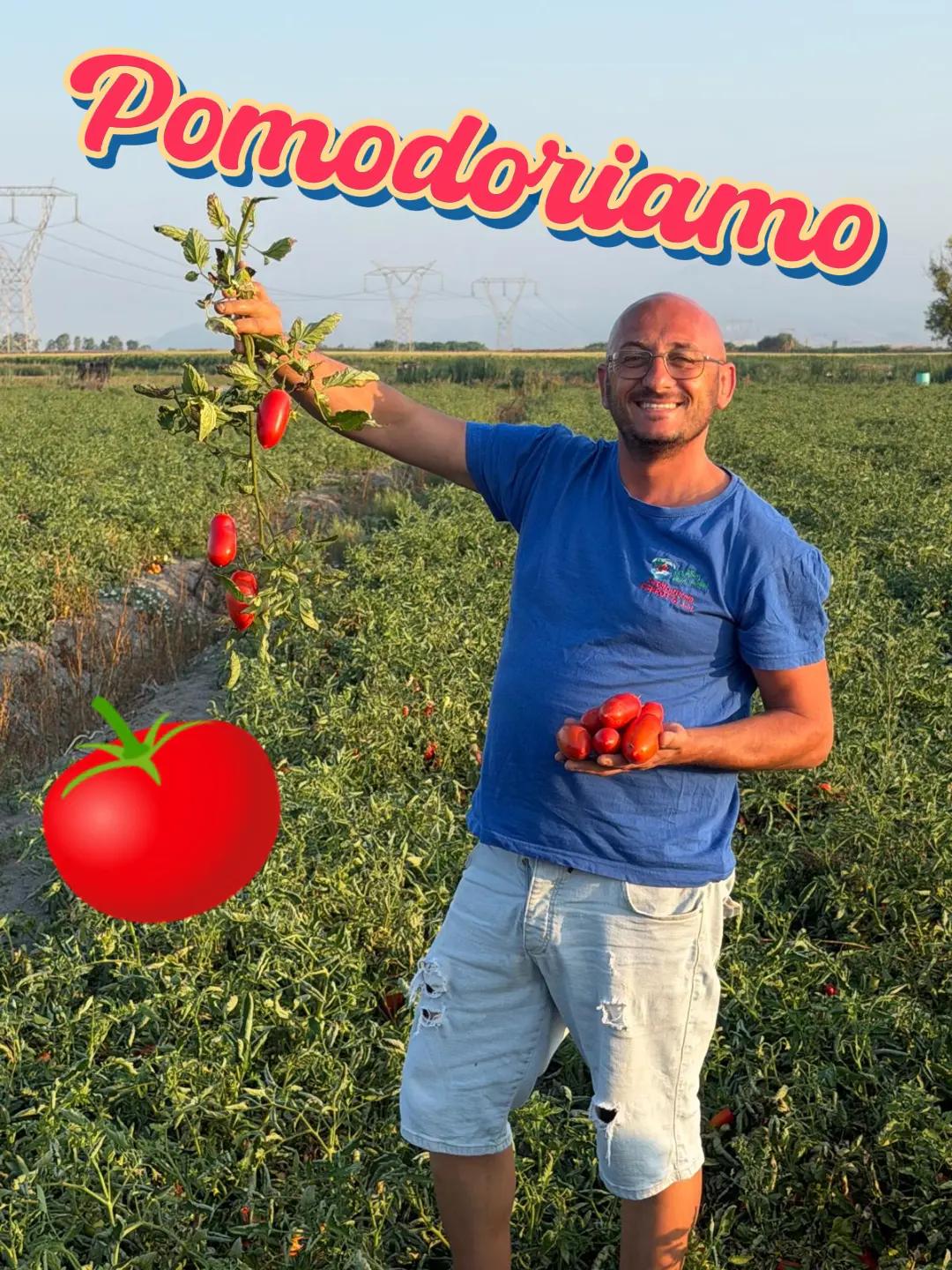 @Costantino Perrotta