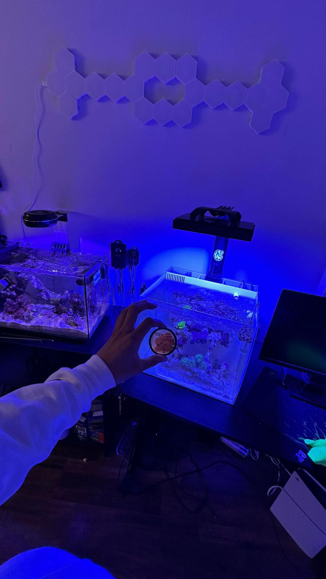 @ReefSync