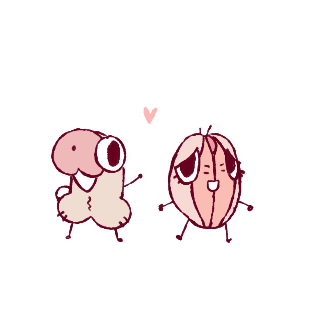 @toothy jacket