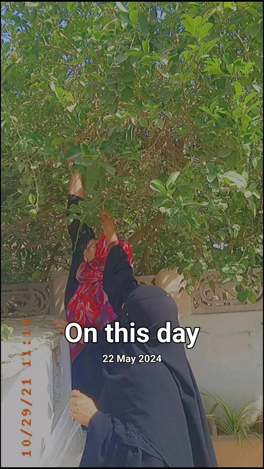 @Parishay