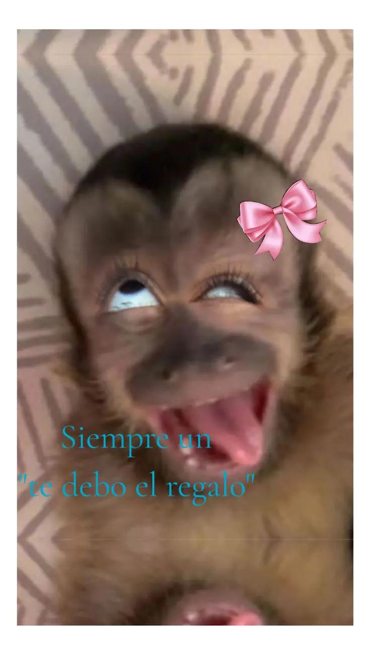 @&hearts;𝙱𝙰𝚁𝙲𝙴𝙻𝙾𝙽𝙰&hearts;
