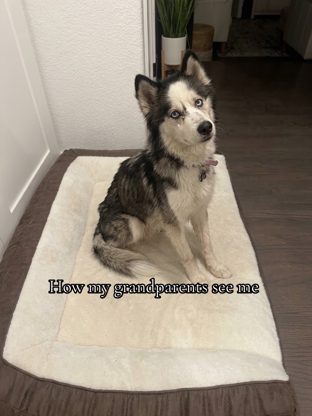 @𝒶𝓁𝓁𝒾𝓈ℴ𝓃