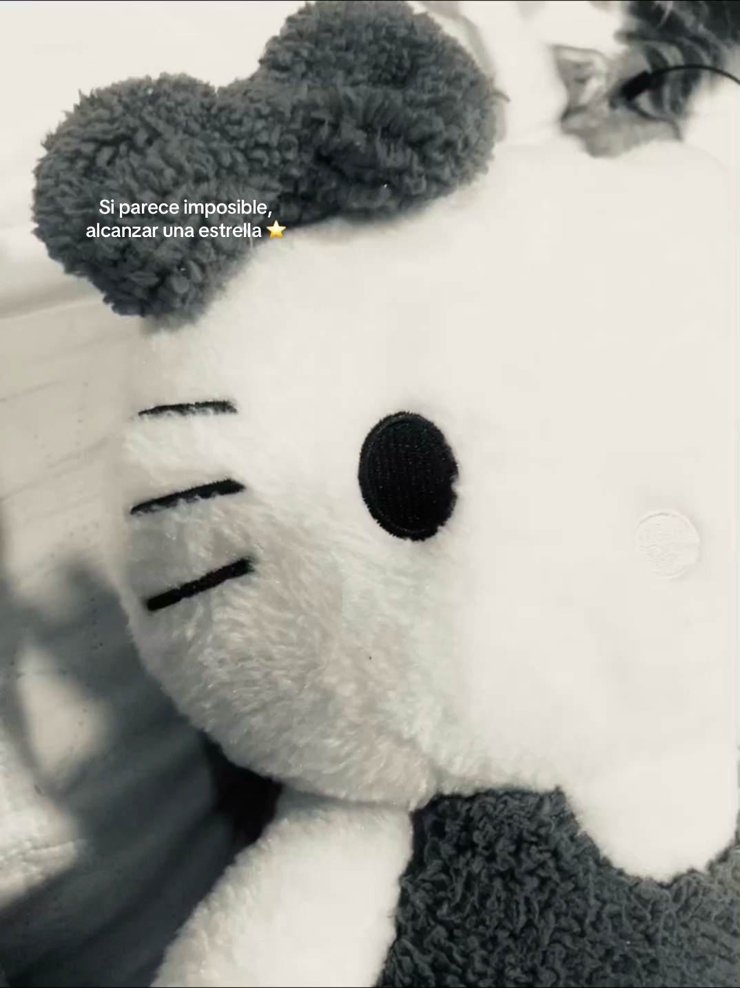 @— lulú ❤︎ mimi