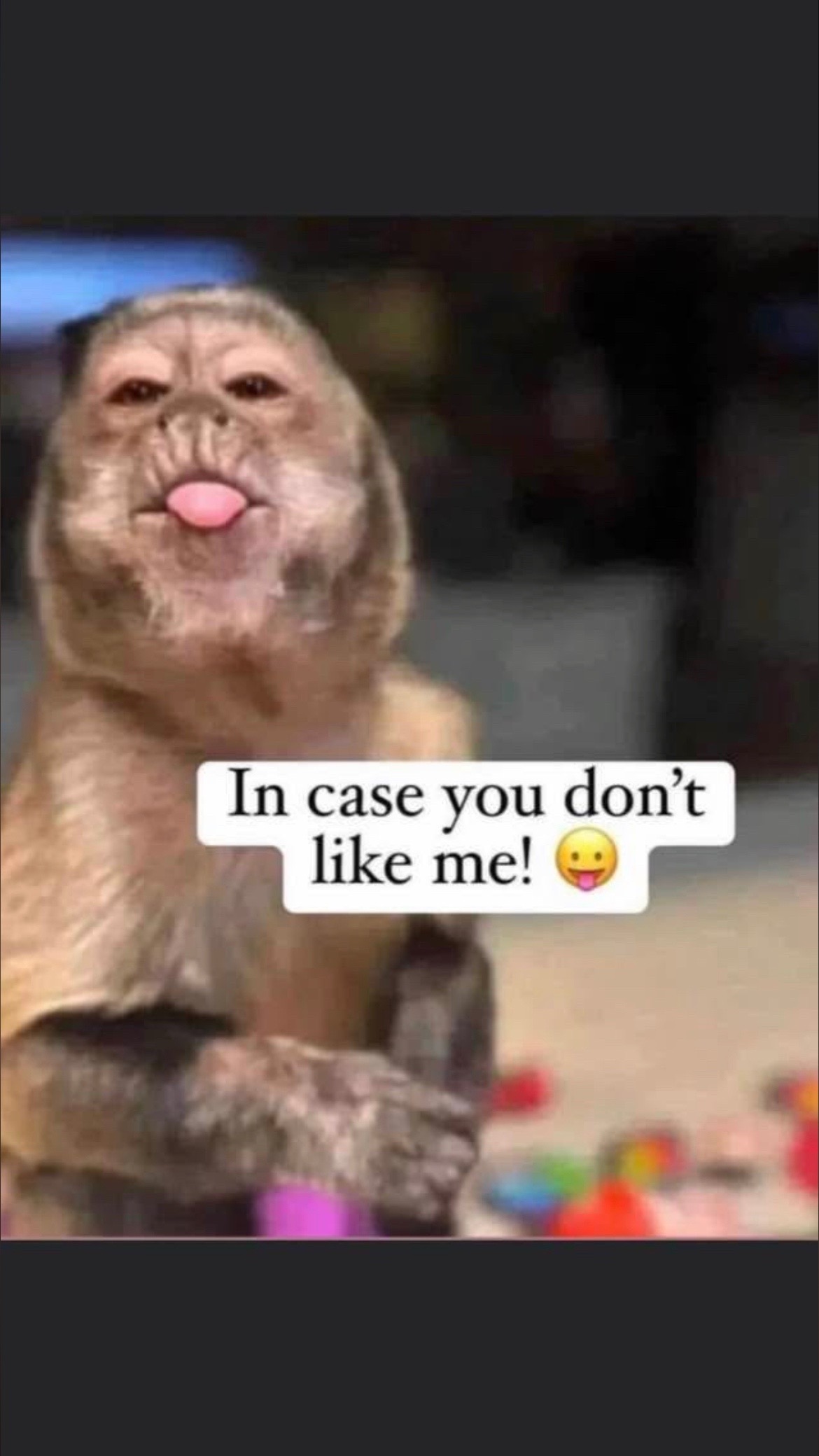 @rbrewer83