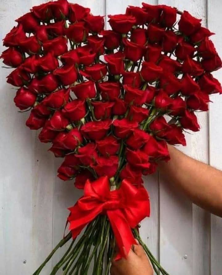 @güvenlik amiri Sami