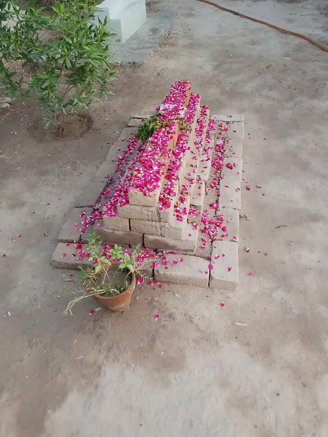 @Tayyab Khan