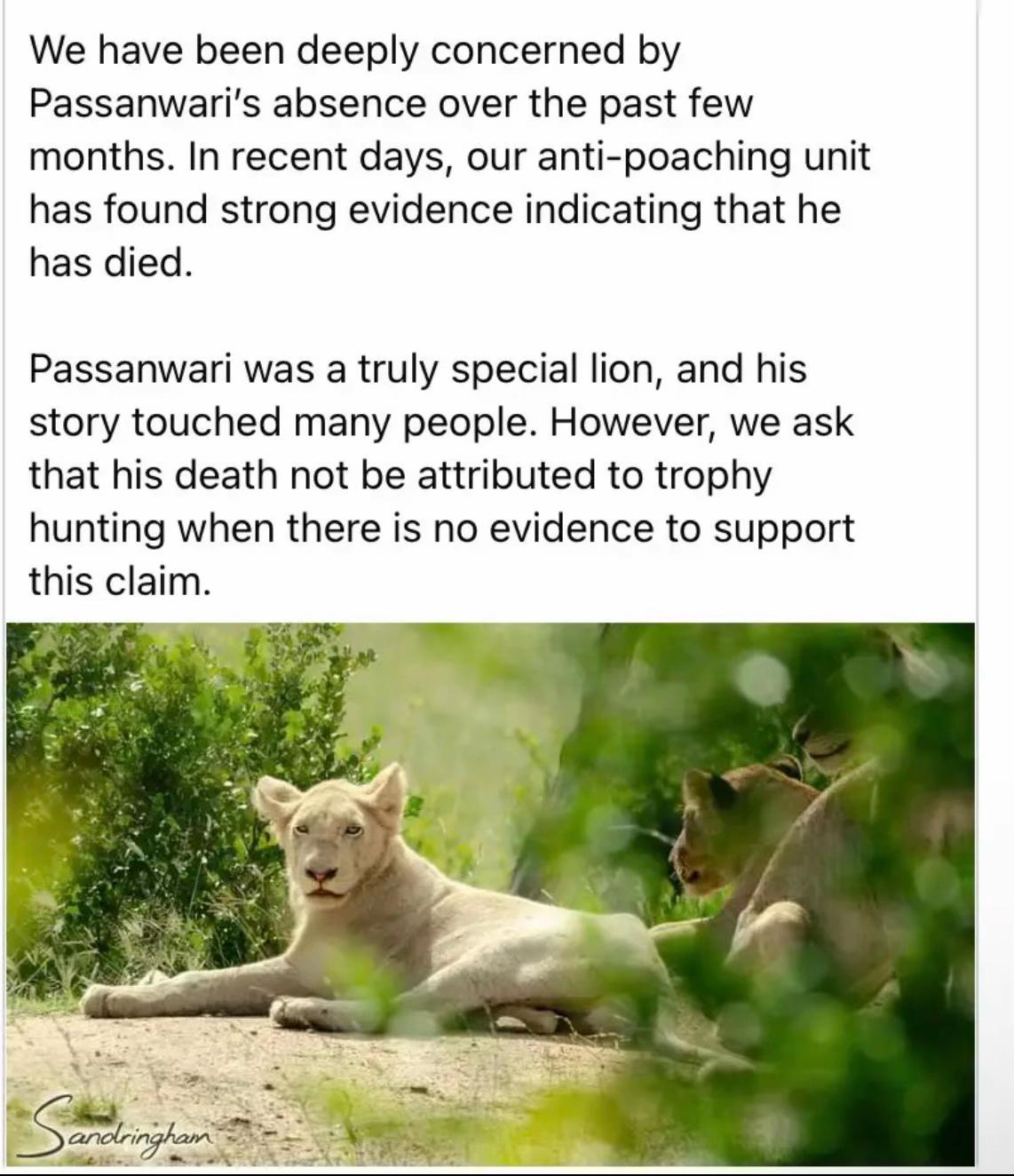 @Nai (aka Lion Expert)