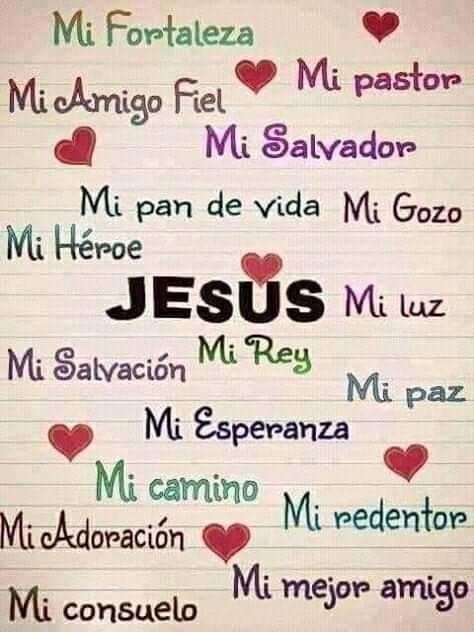@palomita🕊️
