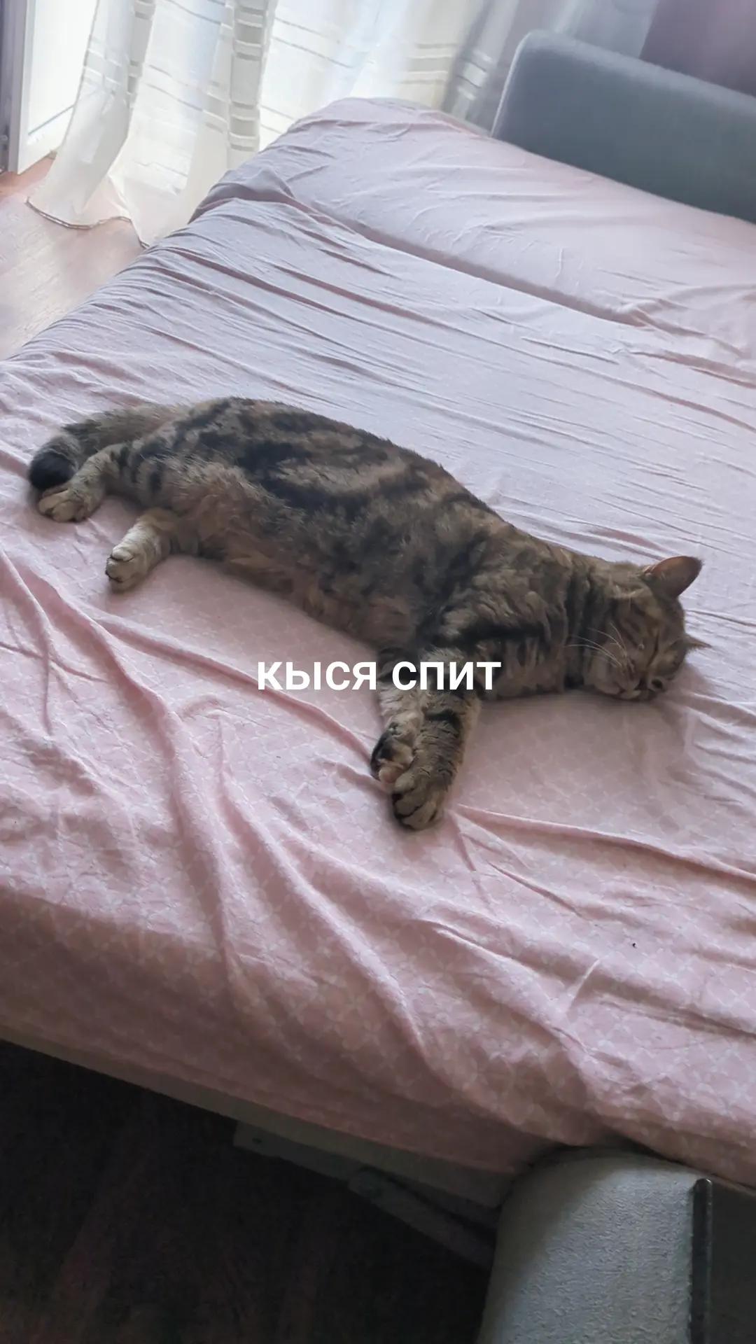 @tëma